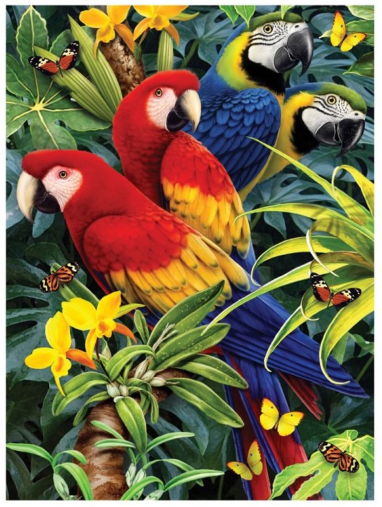 Royal & Langnickel Painting by Numbers A4 Size Bamboo Parrots Designed Painting Set