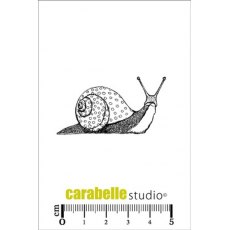 Carabelle Studio Cling Stamp Small : Un escargot