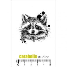 Carabelle Studio Cling Stamp Small : Raton Laveur