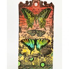 Carabelle Studio Cling Stamp A6 : Butterflies by Sultane