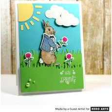 Hero Arts Color Layering Rabbit Bundle SB186