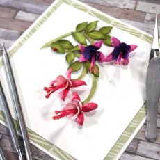 Elizabeth Craft Designs - Garden Notes - Fuchsia 1641