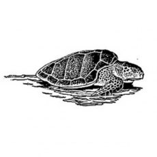 Peddlers Den Stamp â€“ Sea Turtle T9-218B