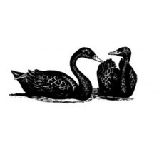 Peddlers Den Stamp â€“ Black Swan Pair T15-325E