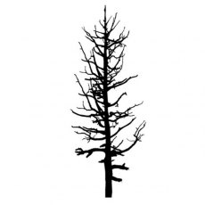 Peddlers Den Stamp â€“ Dead Tree Tall T9-204F