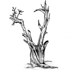 Peddlers Den Stamp â€“ Deadwood Tree M11-254D