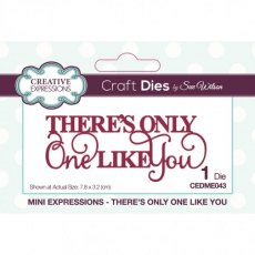 Sue Wilson Mini Expressions Die - There's Only One Like You