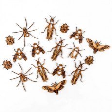Craft Buddy MDF Grab Bag - Intricate Insects 22 Pieces