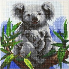Craft Buddy Cuddly Koalas 30 x 30cm (Medium)