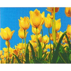 Craft Buddy "Tulips" Framed Crystal Art Kit, 40 x 50cm