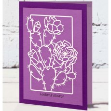 Gemini Decorative Outline Stamp & Die - Sweet Succulent - CLEARANCE