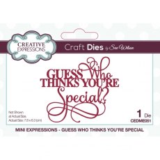 Sue Wilson Mini Expressions Guess Who Thinks You're Special Craft Die