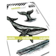 Carabelle Studio - Rubber Stamps - A6 - Le Chant Des Baleines by Alexi