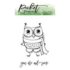 Picket Fence Studios Sweet Owl Clear Stamps (OWL-104)
