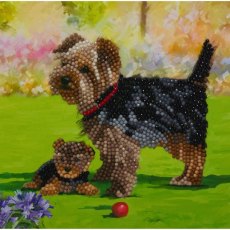 Craft Buddy "Yorkshire Terrier Dogs" Crystal Art Card Kit CCK-A46