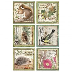 Stamperia A4 Rice Paper - Framed Animals DFSA4425 - 4 for £9.99