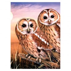 Royal & Langnickel Painting By Numbers Tawny Owls A4 Art Kit