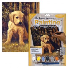 Royal & Langnickel Painting By Numbers Puppy Blues A4 Art Kit