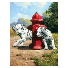 Royal & Langnickel Painting By Numbers Peek A Boo Dogs A4 Art Kit