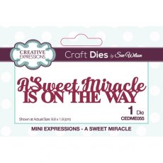 Sue Wilson Mini Expressions – A Sweet Miracle Die