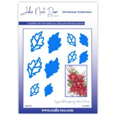 John Next Door Christmas Dies - Poinsettia Leaves (10pcs)