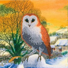 Craft Buddy "Winter Owl", 18x18cm Crystal Art Card CCK-XM60