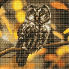 Crystal Art Kit 30 x 30cm (Medium) - Tawny Owl CAK-A97M