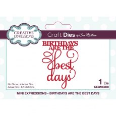 Sue Wilson Mini Expressions Birthdays Are The Best Days Craft Die