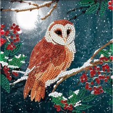 Craft Buddy Barn Owl, 18x18cm" Crystal Art Card CCK-A65