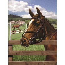 Royal & Langnickel Painting By Numbers Equine Paddock A4 Art Kit