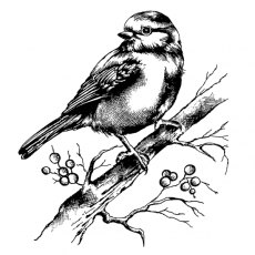 Crafty Individuals 'Bluebird with Branch and Berries' Red Rubber Stamp CI-505