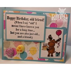 Riley & Co Funny Bones Stamp – Birthday Cake Riley RLY-070