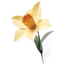 Sizzix Bigz L Die - Daffodil by Olivia Rose
