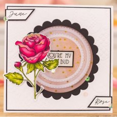Gemini - Stamp & Die - June - Rose