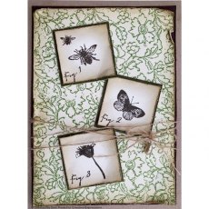 Creative Expressions Sam Poole Wildflowers A6 Pre Cut Rubber Stamp