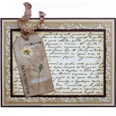 Creative Expressions Sam Poole Shabby Basics Tattered Tags Craft Die