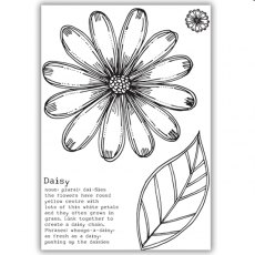 Julie Hickey Designs - Delightful Daisy Stamp Set JH1042