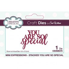 Creative Expressions Sue Wilson Mini Expressions Stacked You Are So Special Craft Die