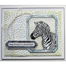 Creative Expressions Pebble Rush 5 3/4 in x 7 1/2 in 3D Embossing Folder