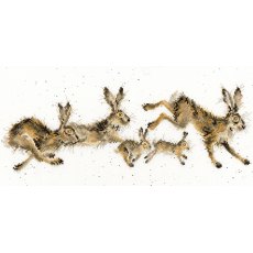 Bothy Threads Spring In Your Step Hannah Dale Wrendale Hare Rabbit Counted Cross Stitch Kit XHD82