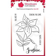 Woodware Clear Singles Lily Sketch 4 in x 6 in Stamp