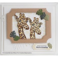 Creative Expressions Giraffe Pre Cut Stamp Co-ords With CED1317