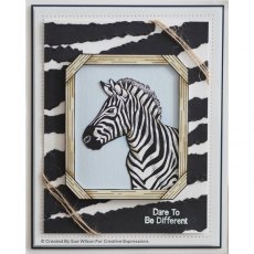 Creative Expressions Zebra Pre Cut Stamp Co-ords With CED1316