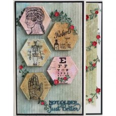 Creative Expressions Jamie Rodgers Canvas Collection Hexagon Die