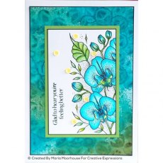 Creative Expressions Designer Boutique Collection Orchids In Bloom A6 Clear Stamp