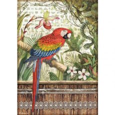 Stamperia A4 Rice paper packed - Amazonia parrot DFSA4531– 5 for £9.99