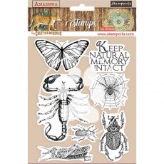 Stamperia HD Natural Rubber Stamp 14x18 cm - Amazonia Butterfly WTKCC193