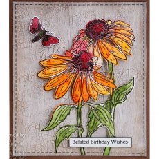 Woodware Clear Singles Echinacea and Moth 4 in x 6 in Stamp