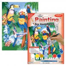 Royal & Langnickel Painting By Numbers Tropical Birds A4 Art Kit