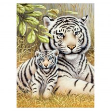 Royal & Langnickel Painting By Numbers White Tiger Pair A4 Art Kit
